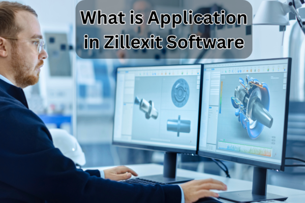 What is Application in Zillexit Software